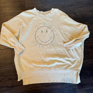 Aerie Sweatshirt
